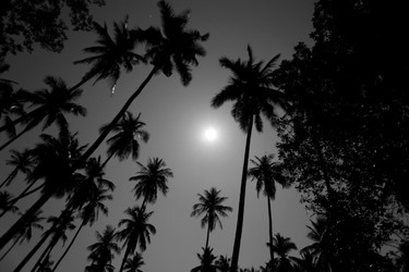 Similar image 6206552