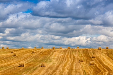 Similar image 6206628