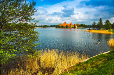 Similar image 6206636