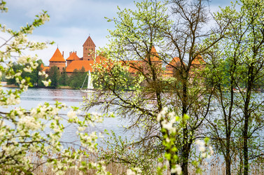 Similar image 6206648