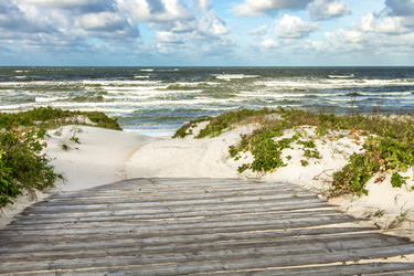 Similar image 6206691