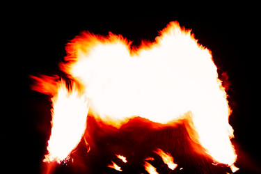 Similar image 6206705