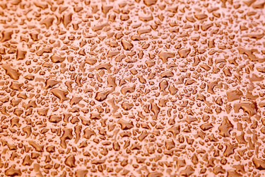 Similar image 6206766