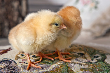 Similar image 6206992