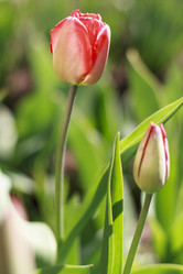 Similar image 6206993