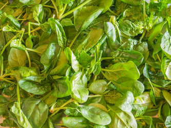 Similar image 6207077