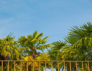 Similar image 6207101