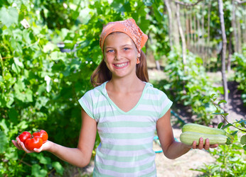 Similar image 6207228