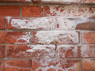 Similar image 6207283