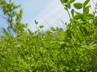 Similar image 6207288