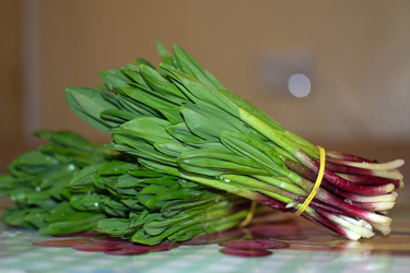 Similar image 6207380