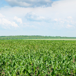 Similar image 6207407