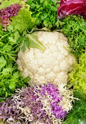 Similar image 6207408