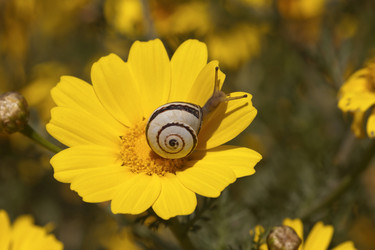 Similar image 6207415