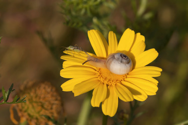 Similar image 6207416