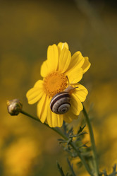 Similar image 6207418