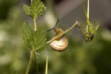 Similar image 6207420