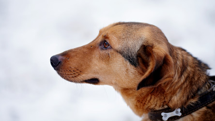 Similar image 6207501