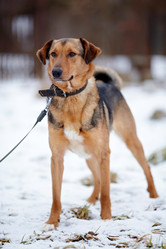 Similar image 6207522