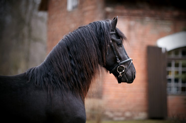 Similar image 6207526