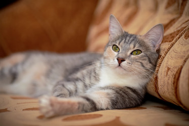 Similar image 6207528