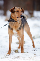 Similar image 6207529