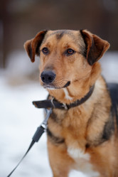 Similar image 6207532