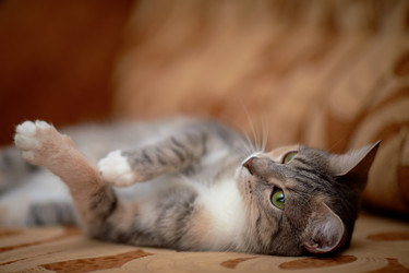 Similar image 6207538