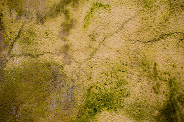 Similar image 6207584