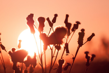 Similar image 6207605