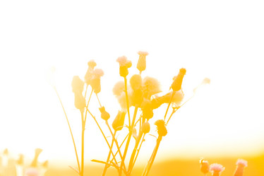 Similar image 6207611