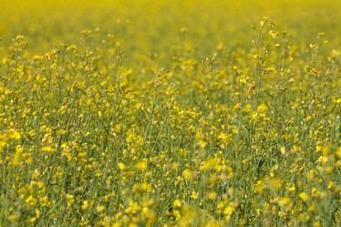 Similar image 6207613