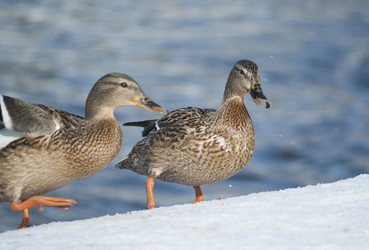 Similar image 6207691