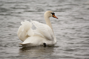 Similar image 6207699