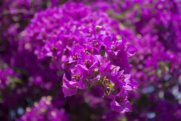 Similar image 6207705