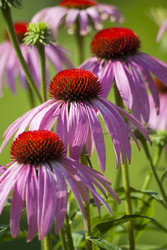 Similar image 6207750