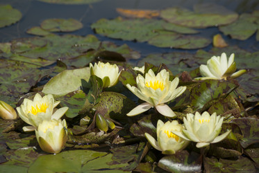 Similar image 6207751