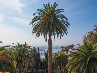 Similar image 6207818