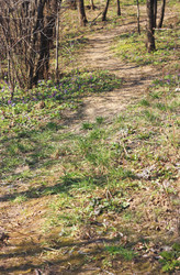 Similar image 6208043