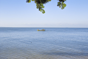 Similar image 6208093