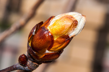 Similar image 6208210