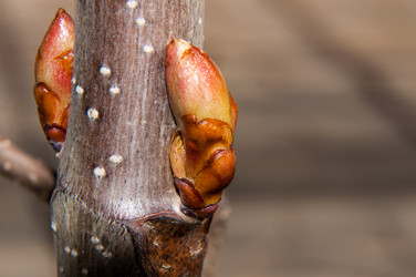 Similar image 6208212