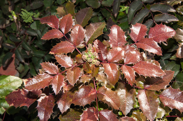 Similar image 6208295