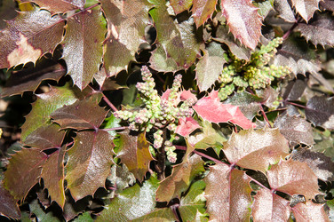 Similar image 6208296