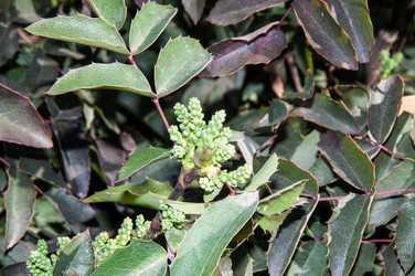 Similar image 6208297