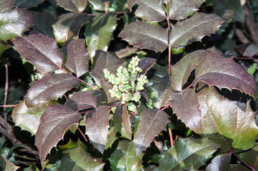 Similar image 6208298