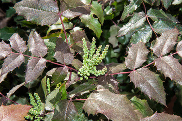 Similar image 6208316