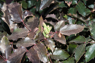 Similar image 6208317