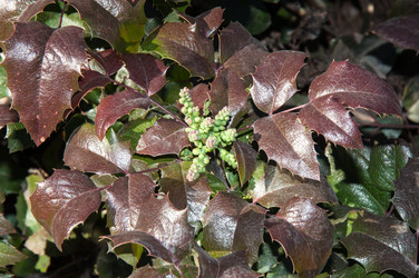 Similar image 6208319