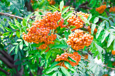 Similar image 6208432